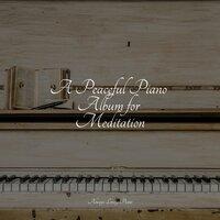 A Peaceful Piano Album for Meditation