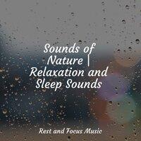 Sounds of Nature | Relaxation and Sleep Sounds