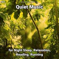 #01 Quiet Music for Night Sleep, Relaxation, Reading, Running