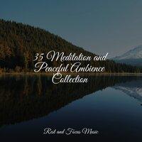 35 Meditation and Peaceful Ambience Collection