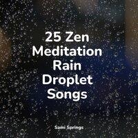 25 Zen Meditation Rain Droplet Songs