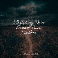 35 Spring Rain Sounds from Nature