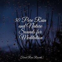 30 Pure Rain and Nature Sounds for Meditation