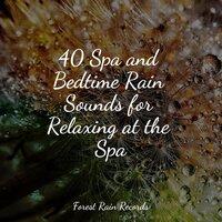 40 Spa and Bedtime Rain Sounds for Relaxing at the Spa