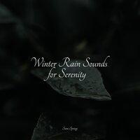 Winter Rain Sounds for Serenity