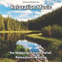 Relaxation Music for Napping, Stress Relief, Relaxation, Waiting
