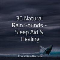 35 Natural Rain Sounds - Sleep Aid & Healing