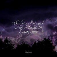 25 Calming Rain and Nature Sounds for Beauty Sleep