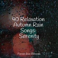 40 Relaxation Autumn Rain Songs: Serenity