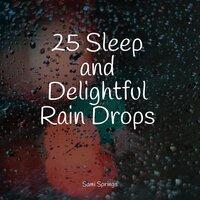 25 Sleep and Delightful Rain Drops