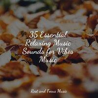 35 Essential Relaxing Music Sounds for Vibes Music