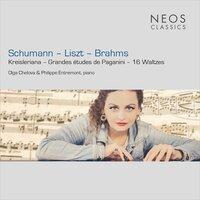 Schumann, Liszt & Brahms: Piano Works