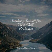 Soothing Sounds for Pure Chill Ambience