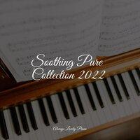 Soothing Pure Collection 2022