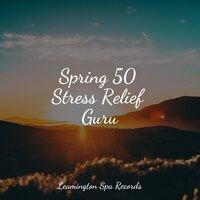 Spring 50 Stress Relief Guru