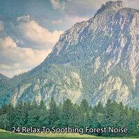 !!!! 24 Расслабьтесь под успокаивающий лесной шум !!!!