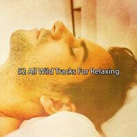 52 All Wild Tracks For Relaxing