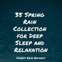 35 Spring Rain Collection for Deep Sleep and Relaxation