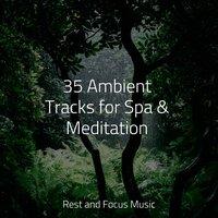 35 Ambient Tracks for Spa & Meditation