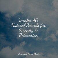 Winter 40 Natural Sounds for Serenity & Relaxation