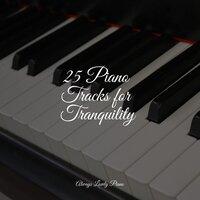 25 Piano Tracks for Tranquility