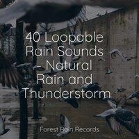 40 Loopable Rain Sounds - Natural Rain and Thunderstorms