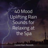 40 Mood Uplifting Rain Sounds for Relaxing at the Spa