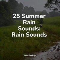 25 Summer Rain Sounds: Rain Sounds