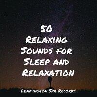 50 Relaxing Sounds for Sleep and Relaxation