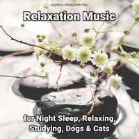Relaxation Music for Night Sleep, Relaxing, Studying, Dogs & Cats