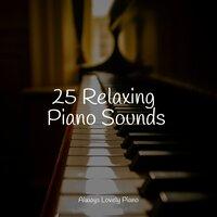 25 Relaxing Piano Sounds
