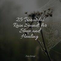 25 Beautiful Rain Sounds for Sleep and Healing