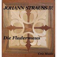 Johann Strauss Jr: Die Fledermaus