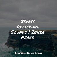Stress Relieving Sounds | Inner Peace