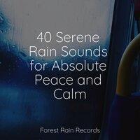 40 Serene Rain Sounds for Absolute Peace and Calm