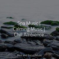 Spa Music | Calming Music | Chill Ambience