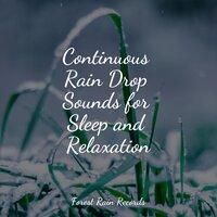 Continuous Rain Drop Sounds for Sleep and Relaxation