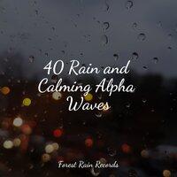 40 Rain and Calming Alpha Waves