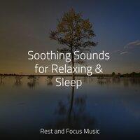 Soothing Sounds for Relaxing & Sleep