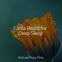 Delta Beats for Deep Sleep