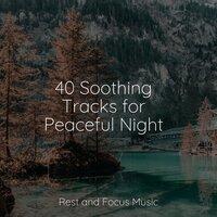 40 Soothing Tracks for Peaceful Night
