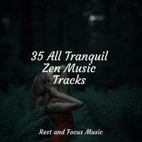 35 All Tranquil Zen Music Tracks