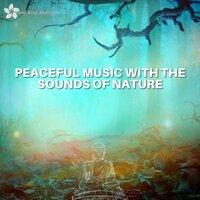 Peaceful Music with the Sounds of Nature