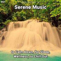 #01 Serene Music to Calm Down, for Sleep, Wellness, to Chill Out