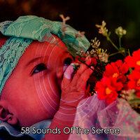 58 Sounds Of The Serene