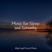 Music for Sleep and Serenity