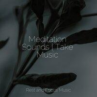 Meditation Sounds | Take Music