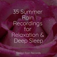 35 Summer Rain Recordings for Relaxation & Deep Sleep