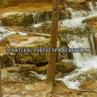 16 Natural Forest Spa Remedy Day