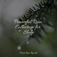 Powerful Rain Collection for Sleep